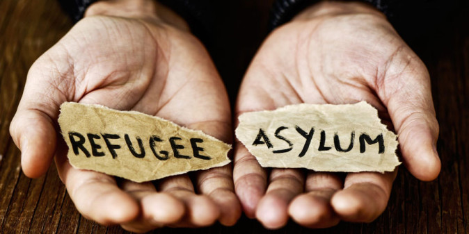 Asylum and Refugee applications